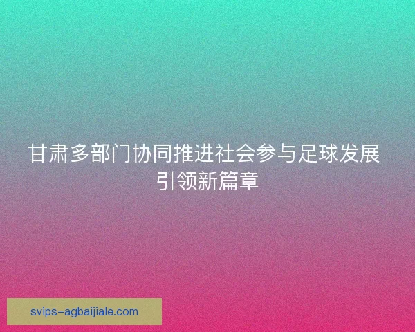 甘肃多部门协同推进社会参与足球发展 引领新篇章